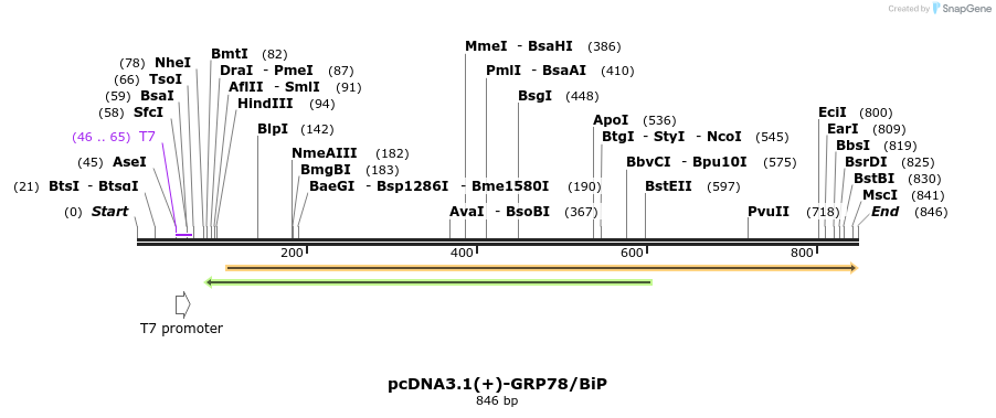 57730_map
