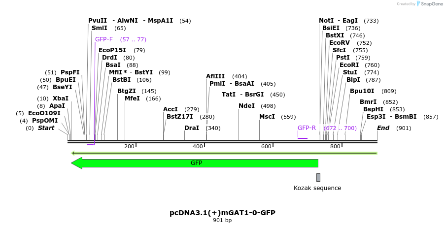 57740_map