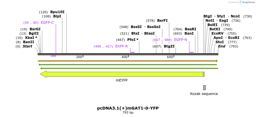 57742_map