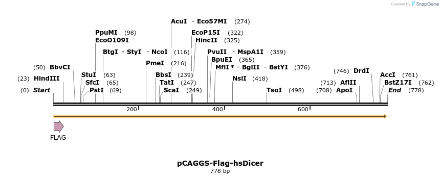 57759_map