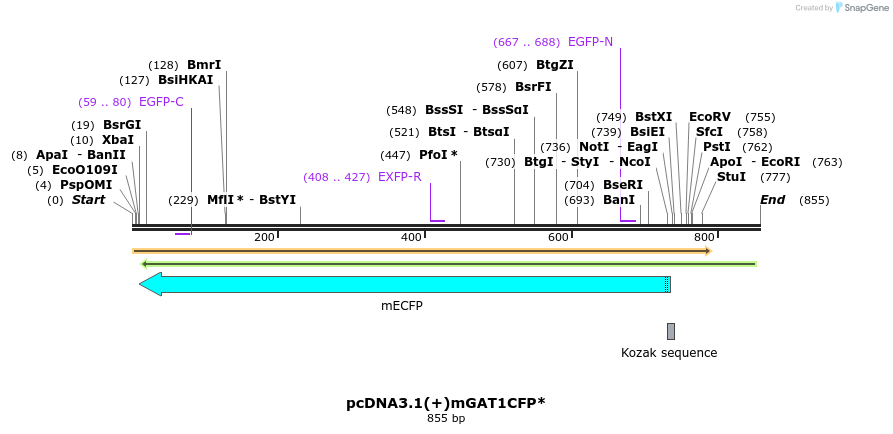 57780_map