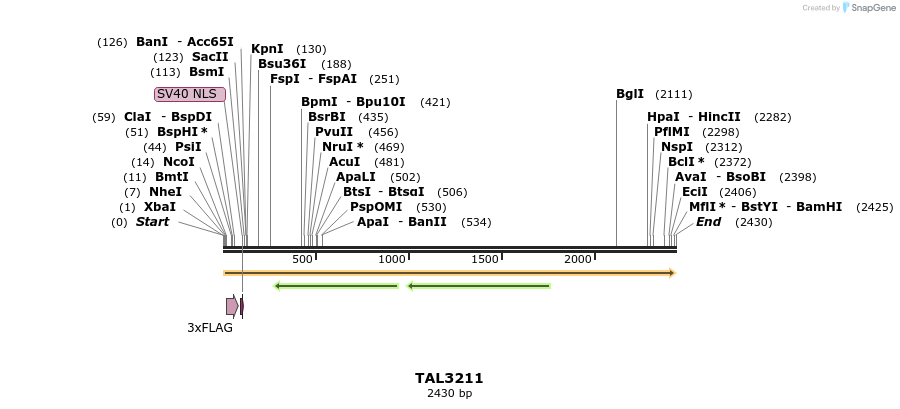 57794_map