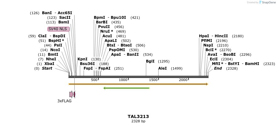 57796_map
