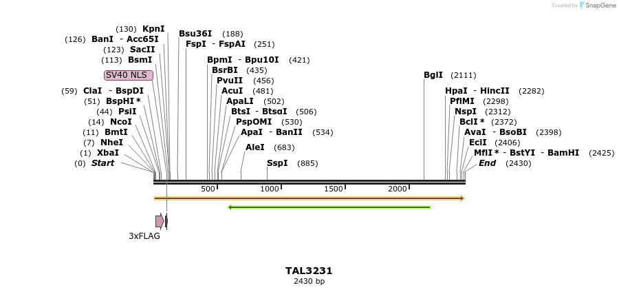 57814_map