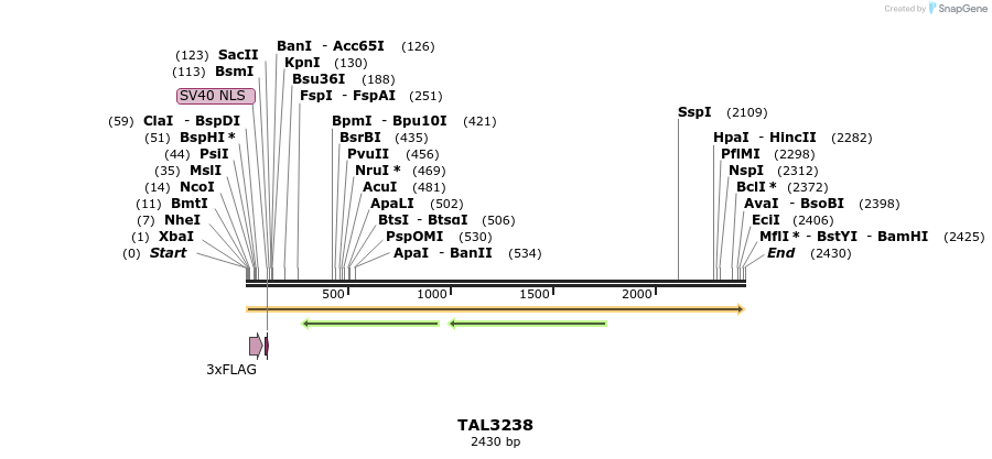 57821_map