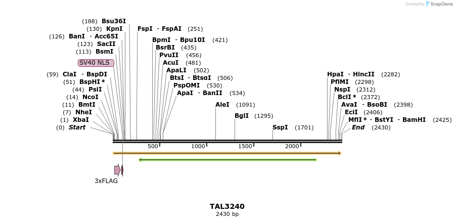57823_map