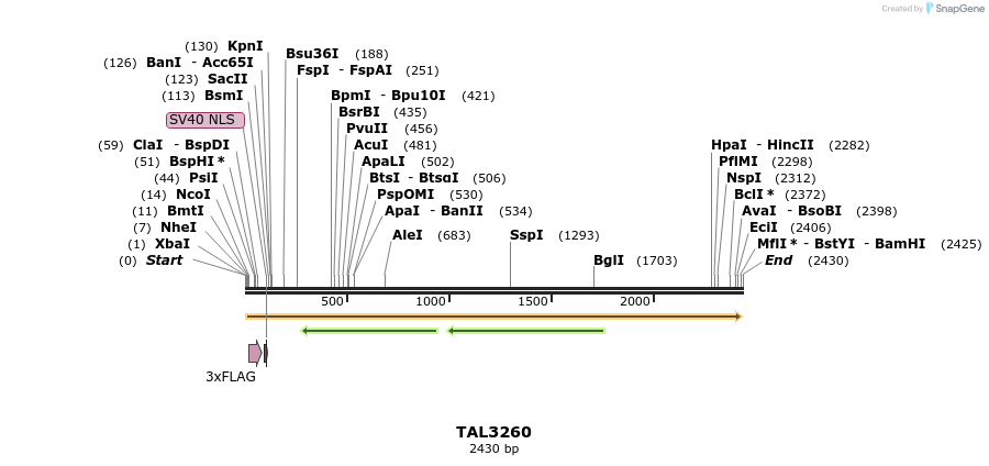 57843_map