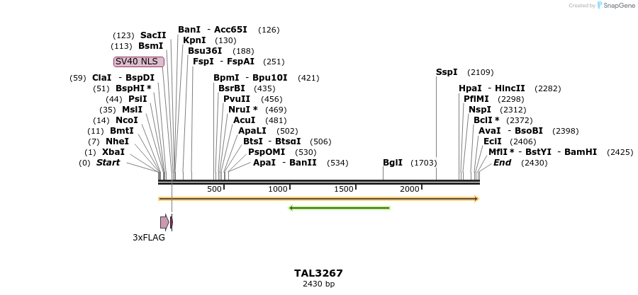 57850_map