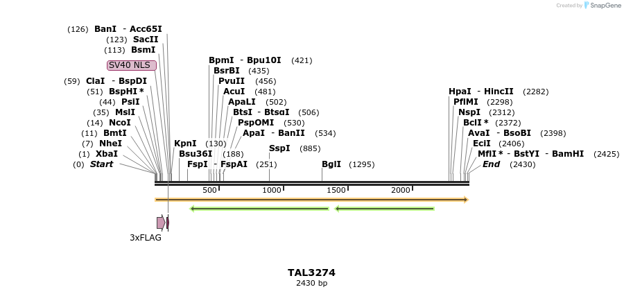 57857_map