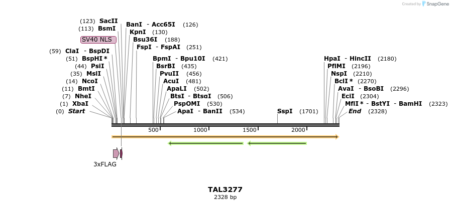 57860_map