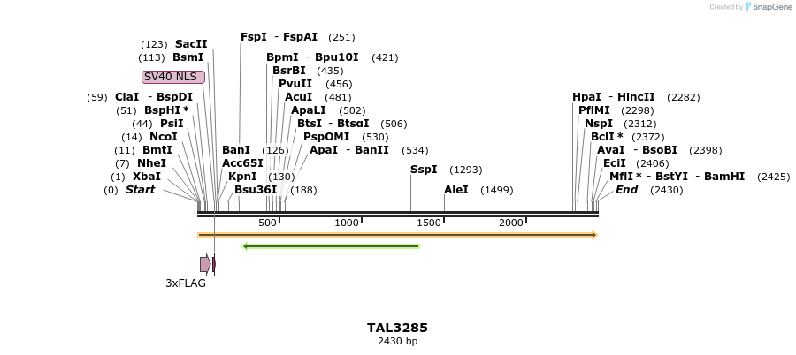 57868_map