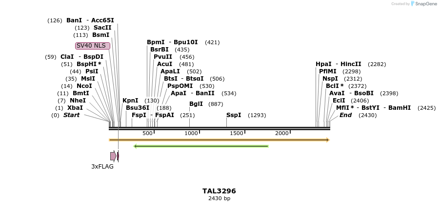 57879_map