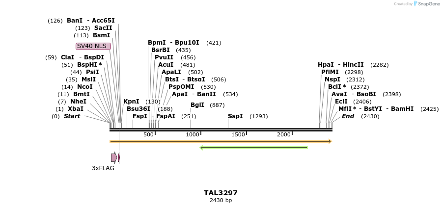 57880_map