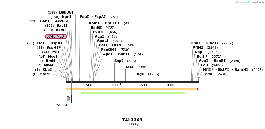 57886_map