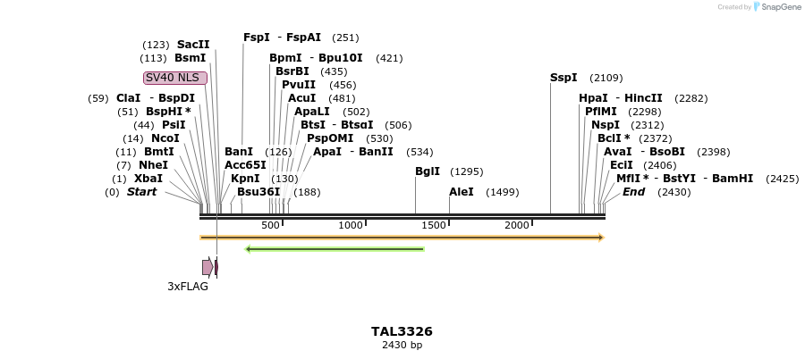 57909_map