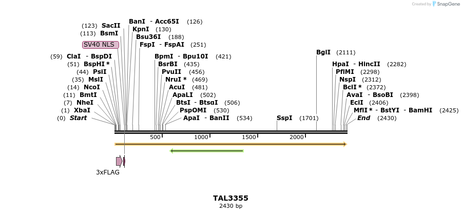 57938_map