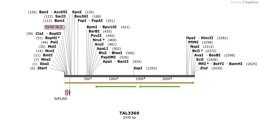 57952_map