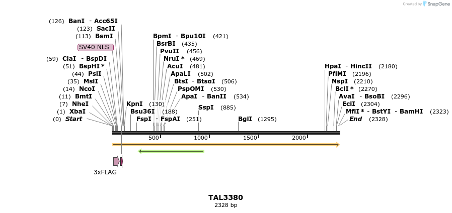 57963_map
