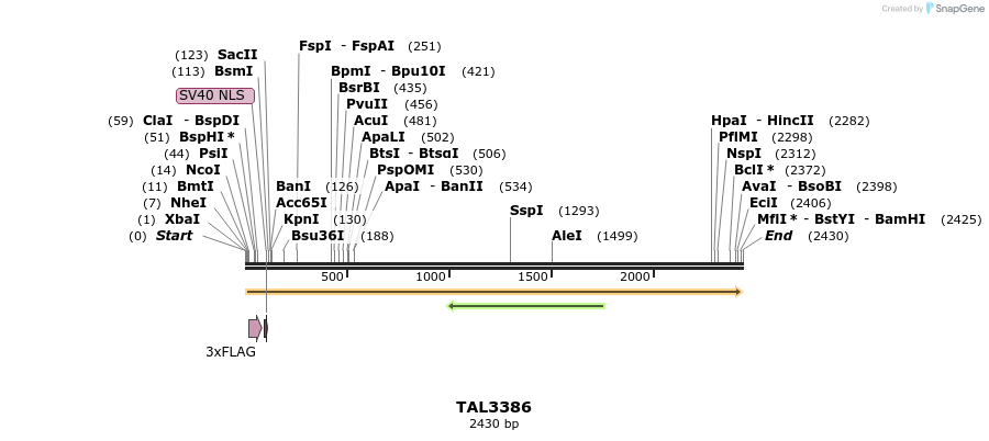 57969_map