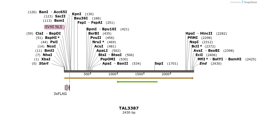 57970_map