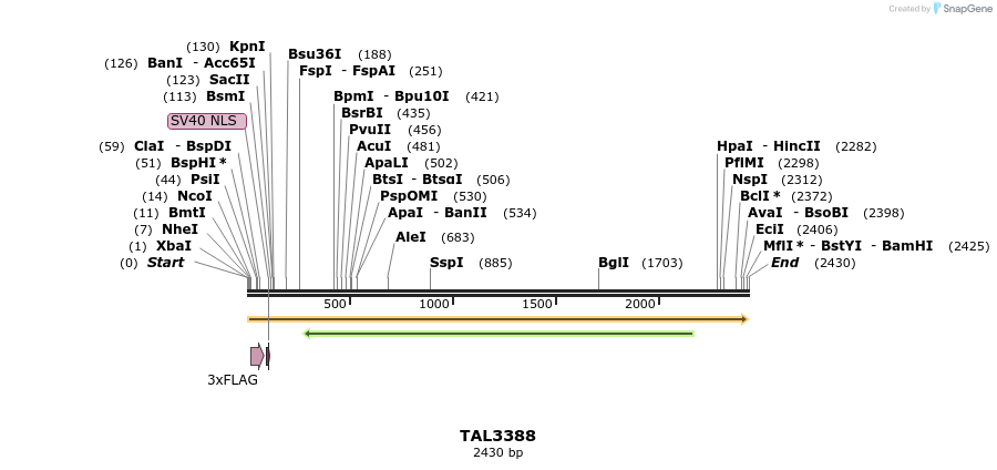 57971_map