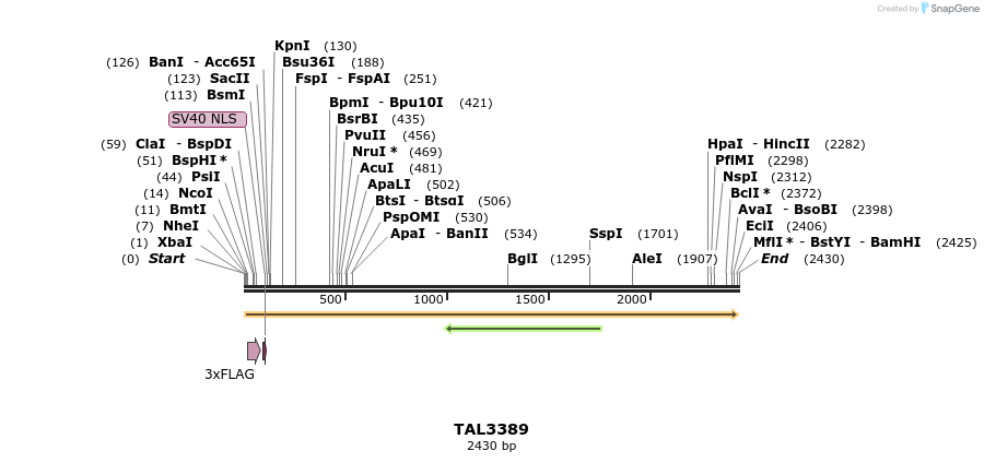 57972_map