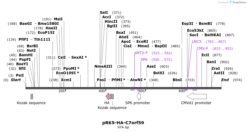 57997_map