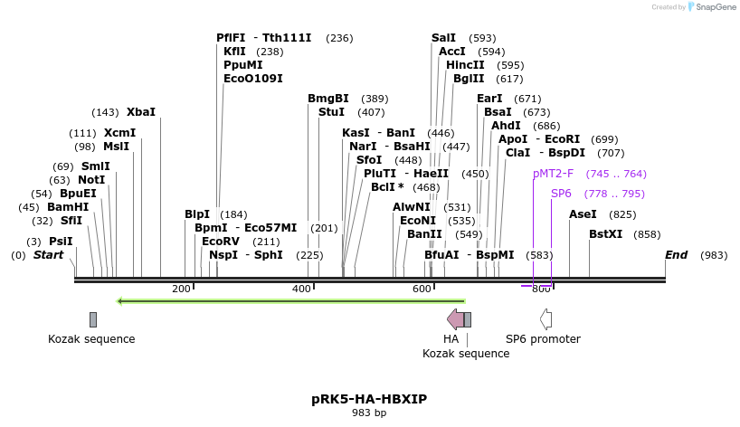 58002_map