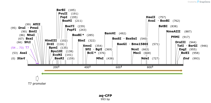 58003_map