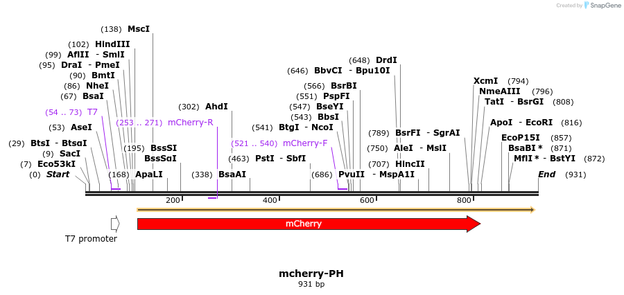 58007_map