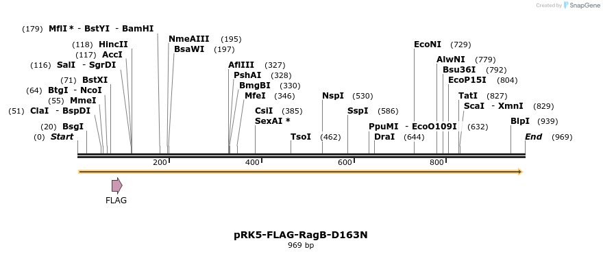 58008_map