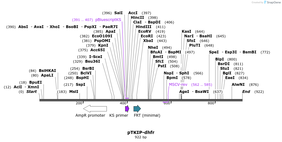 58015_map