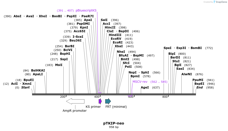 58017_map