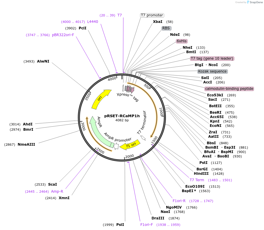 58020_map
