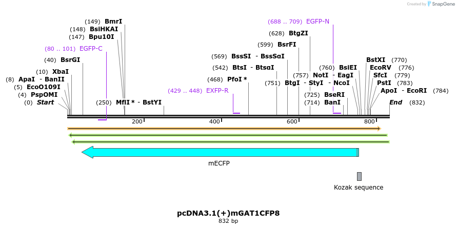 58021_map