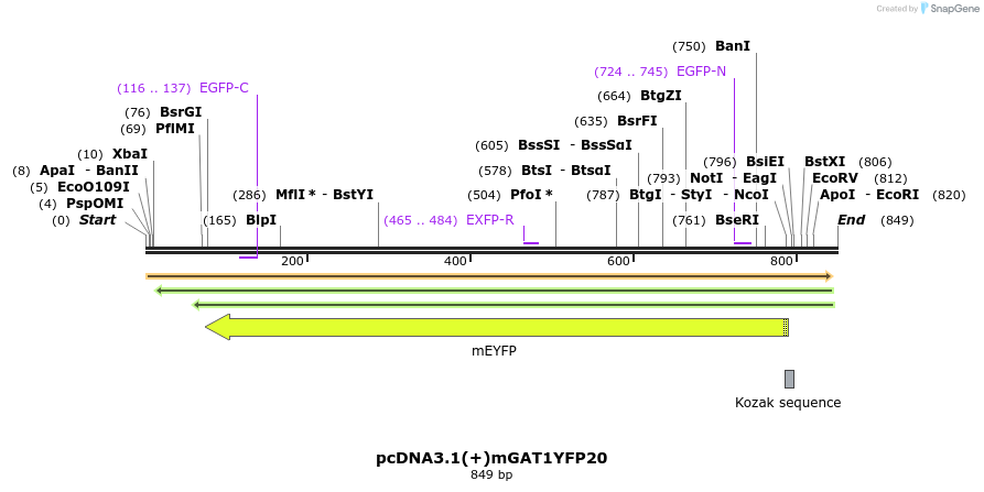 58023_map