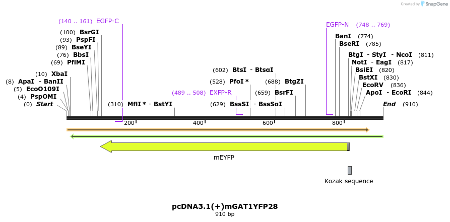 58026_map