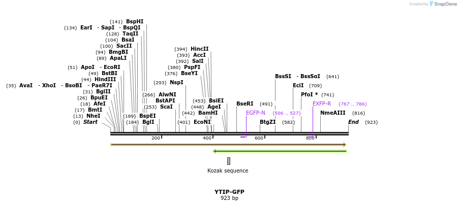 58030_map