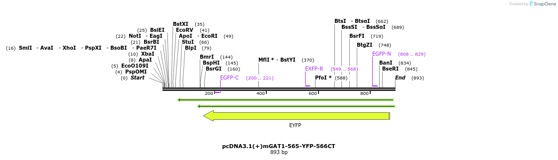 58035_map