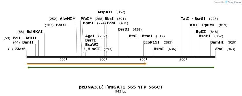 58036_map