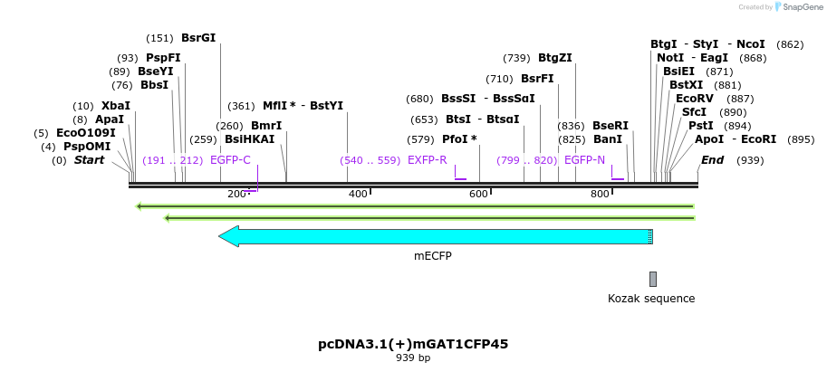 58037_map