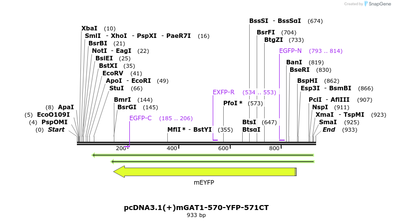 58040_map