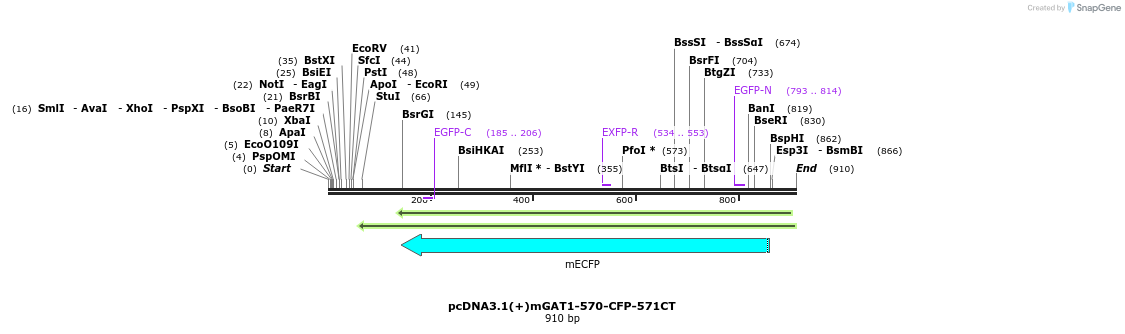 58043_map