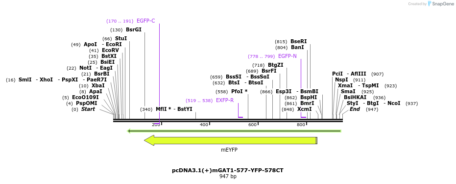 58044_map