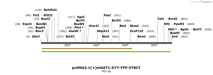 58045_map