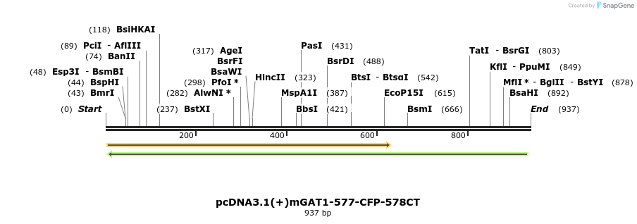 58046_map