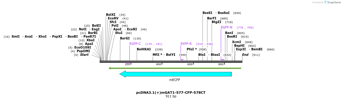 58047_map