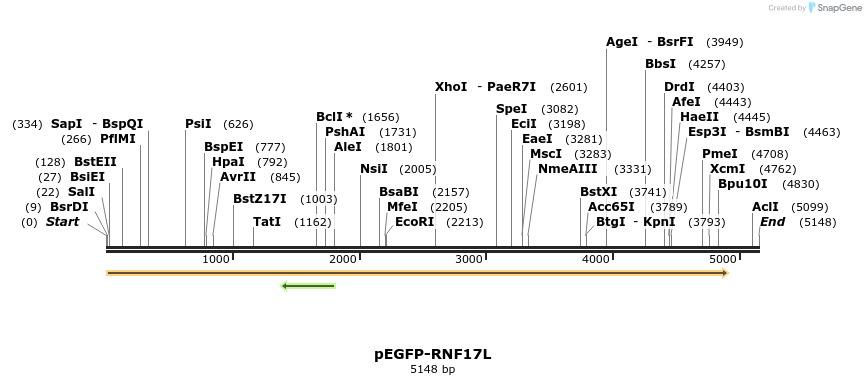 58059_map