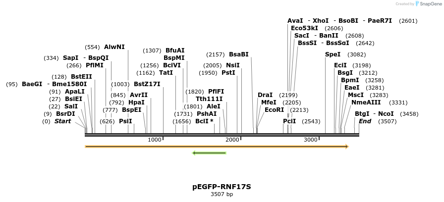 58060_map