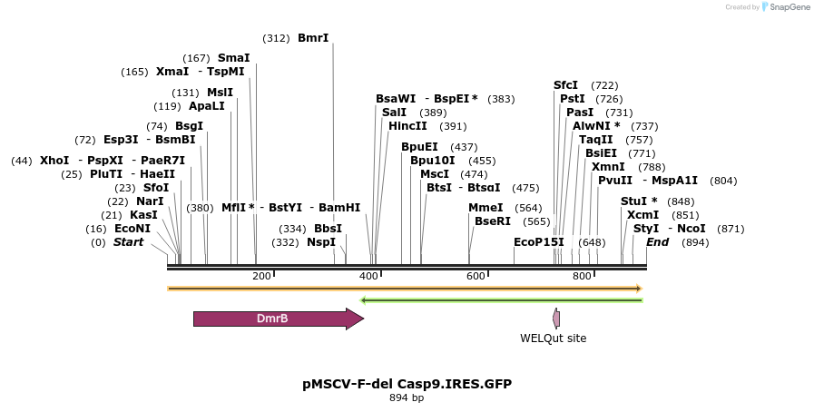 58063_map